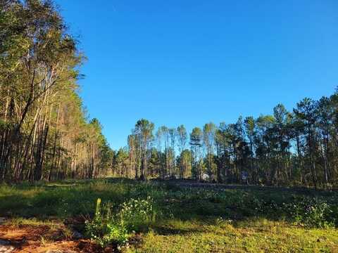 0 Red Oak Drive, Waycross, GA 31501