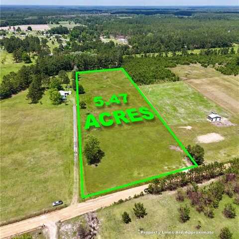 0 Nursery Road Road, Blackshear, GA 31516