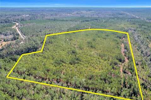 0 Tract 1 - Dewey Road, Nahunta, GA 31553