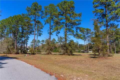 Sapelo Park Drive NE, Townsend, GA 31331