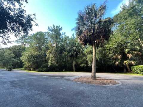 Lot 14 CARNOCHAN Drive, Darien, GA 31305