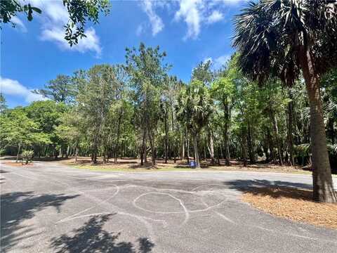 Lot 14 CARNOCHAN Drive, Darien, GA 31305