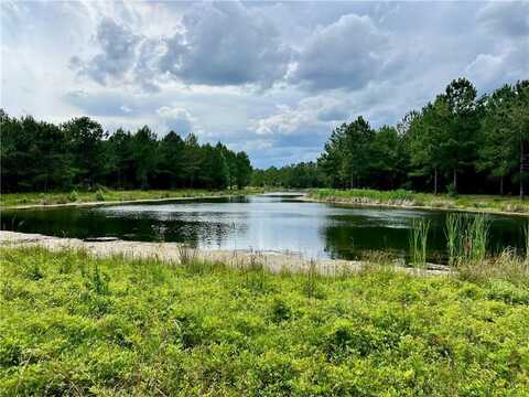 468 Nautical Mile Other, Waverly, GA 31565