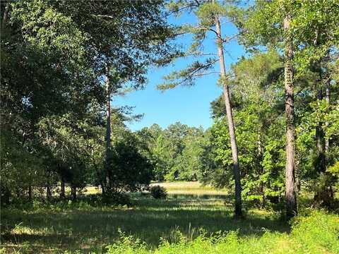 Lot 599 Park View Circle NE, Townsend, GA 31331