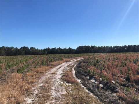 0 Winokur Rock Road, Folkston, GA 31537