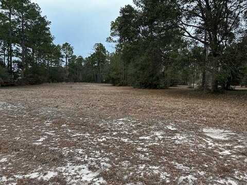 Lot 154 Mulligan Drive NE, Townsend, GA 31331