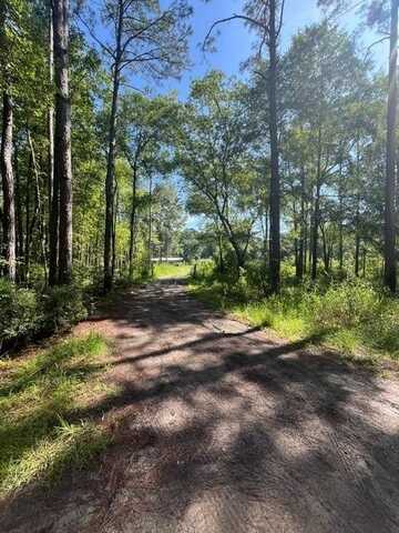 1227 Trotline Road, Townsend, GA 31305