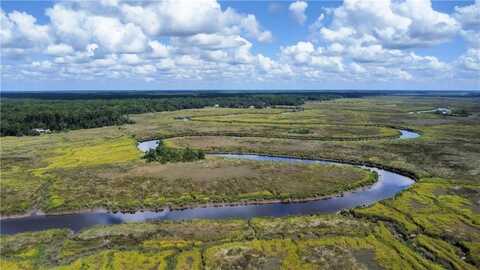 Lot 5 BLACK Island, Darien, GA 31305