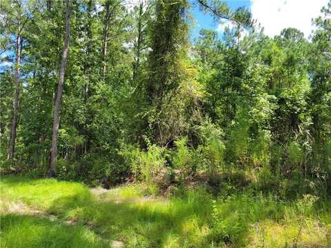 123 Winn Clay Drive, Waycross, GA 31503