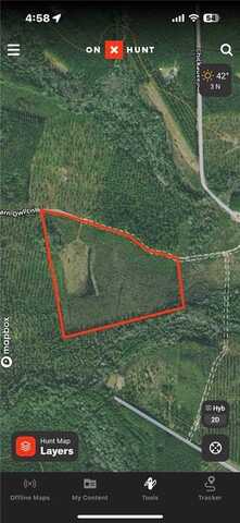 0 Barn Owl Lane, Other, GA 31552