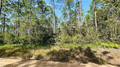 3.76 Acres Mt Pleasant Road, Jesup, GA 31546