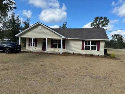 487 Birchwood Road, Nahunta, GA 31553