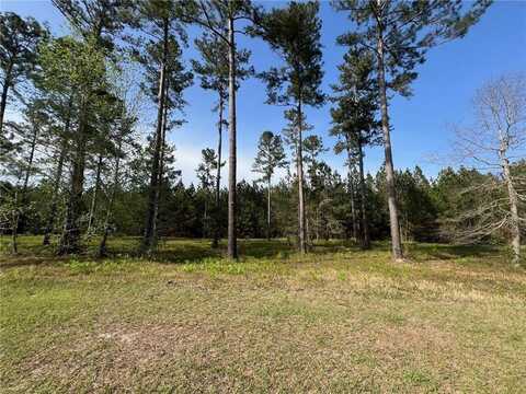 17 Shorebird Way, Brunswick, GA 31523