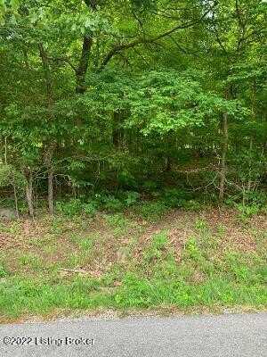 Lot #3 Dog Creek Rd, Cub Run, KY 42729