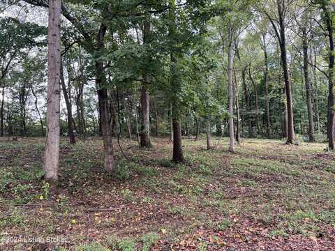 Lot 19 Dogwood Estates, Bedford, KY 40006