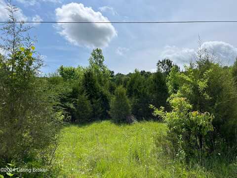 Lot 3 Shaw Creek Rd, Big Clifty, KY 42712