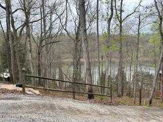 Lot 81 Penn Run Rd, Bee Springs, KY 42207