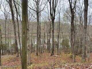 Lot 82 Penn Run Rd, Bee Springs, KY 42207