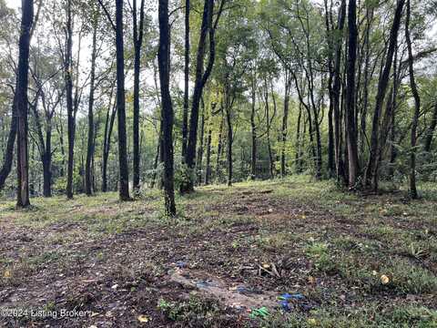 Lot 20 Dogwood Estates, Bedford, KY 40006