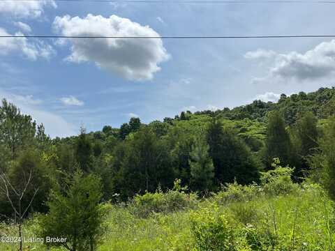 Lot 2 Shaw Creek Rd, Big Clifty, KY 42712