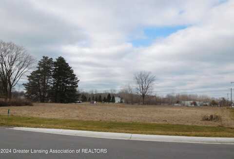N Cedar Road, Mason, MI 48854
