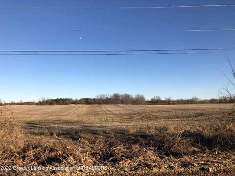 V/L N Grove, Lansing, MI 48906