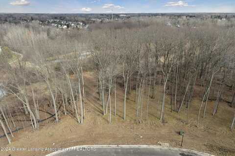 Lot 3 Crane Circle, Okemos, MI 48864