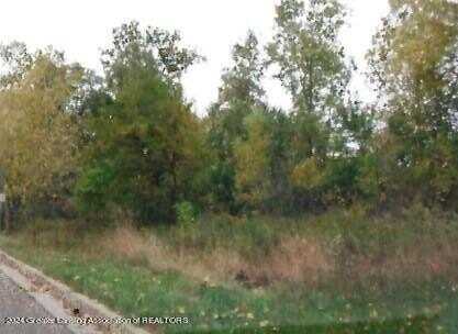 V/L W South (1.6) Acres Street, Owosso, MI 48867