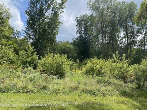 V/L W South - Lot#11 Street, Owosso, MI 48867