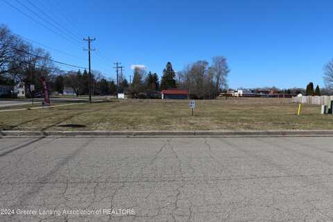 Lot 1 Black Oak, Webberville, MI 48892