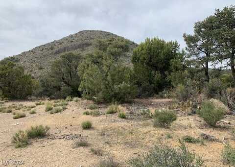 Unassigned, Mountain Springs, NV 89161