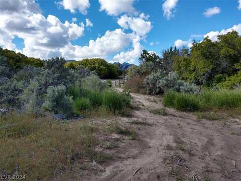 Bennett Springs, Pioche, NV 89043