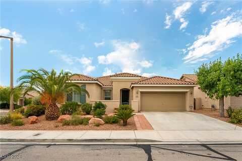 10251 Rarity Avenue, Las Vegas, NV 89135