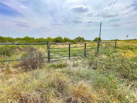 Lot 6 N FM 3167, Rio Grande City, TX 78582