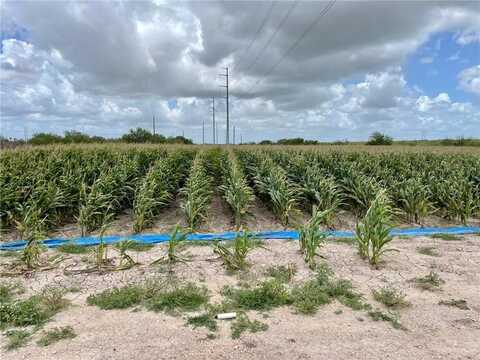 Tbd N Gonzalez Road N, Progreso, TX 78579