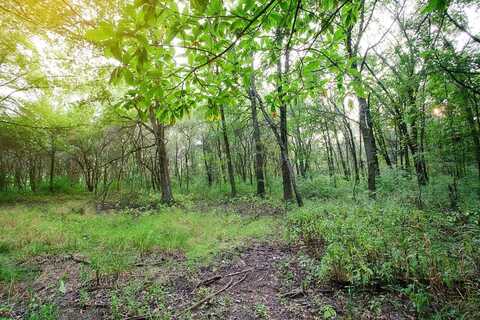 4290-lot 30 Willard Lane, Lowell, IN 46356