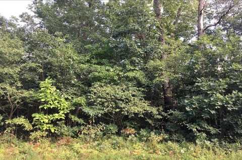 0-lot 53 Pointer Lane, Wheatfield, IN 46392