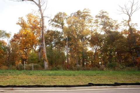 3975-lot 88 166th Lane, Lowell, IN 46356