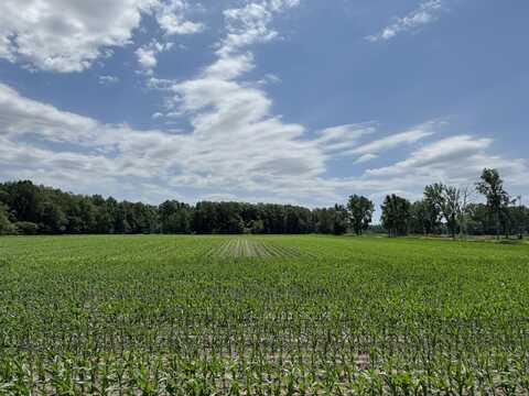 51.378 Acres 650 N, Wheatfield, IN 46392