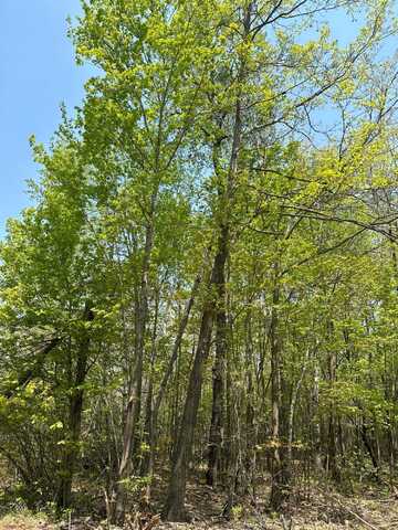 On BURROWS LAKE RD, Tomahawk, WI 54487