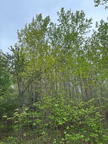 On BURROWS LAKE RD, Tomahawk, WI 54487