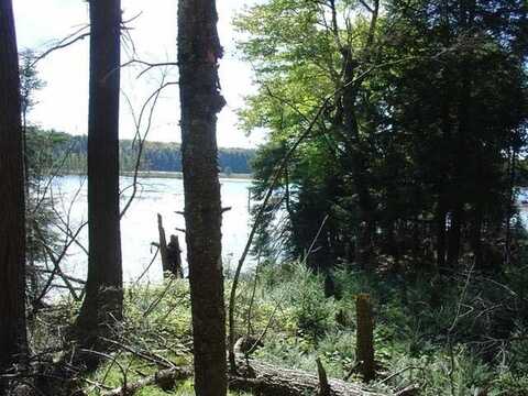 Lot #7 CHANNEL RD, Watersmeet, MI 49969