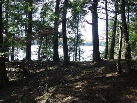 Lot #1 CHANNEL RD, Watersmeet, MI 49969