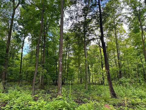 Lot 8 On KELLAR DR, Merrill, WI 54452