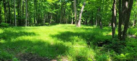 Lot I BASSWOOD RIDGE LN, Presque Isle, WI 54557