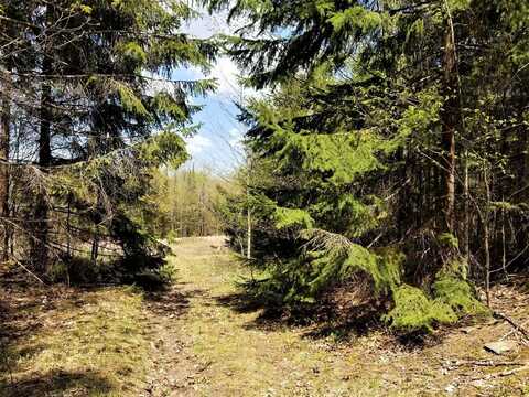 Lot2 Off SAXON RD, Montreal, WI 54550