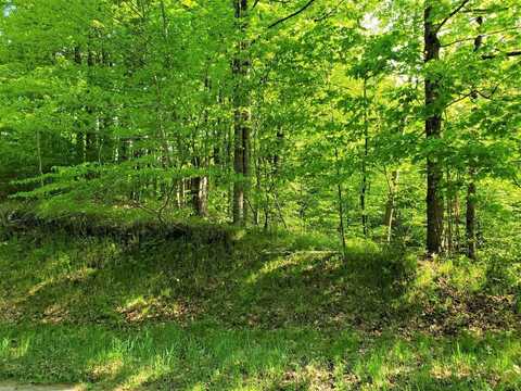 Lot #8 KLUG LN, Athelstane, WI 54104