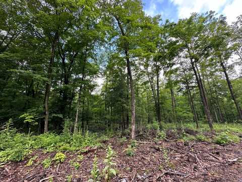 Lot 6 On KELLAR DR, Merrill, WI 54452