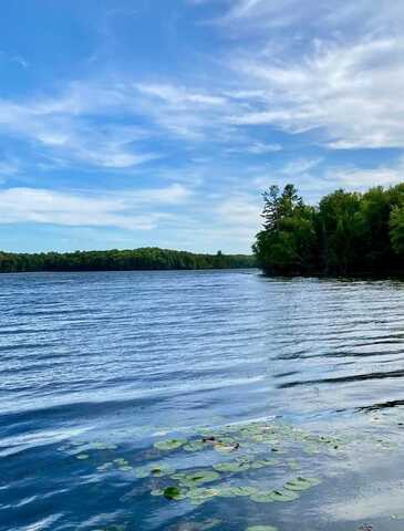 Lot 65 FOREST LN, Long Lake, WI 54542