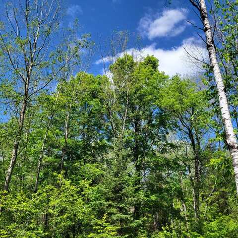 Lot 2 PESHTIGO RIVER RD, Goodman, WI 54125